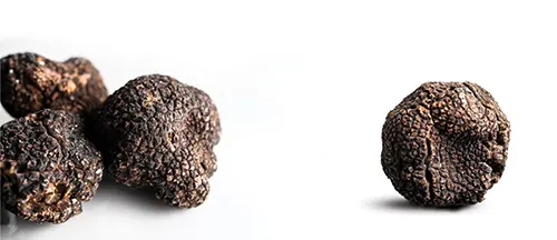 buy Smooth Black Truffle