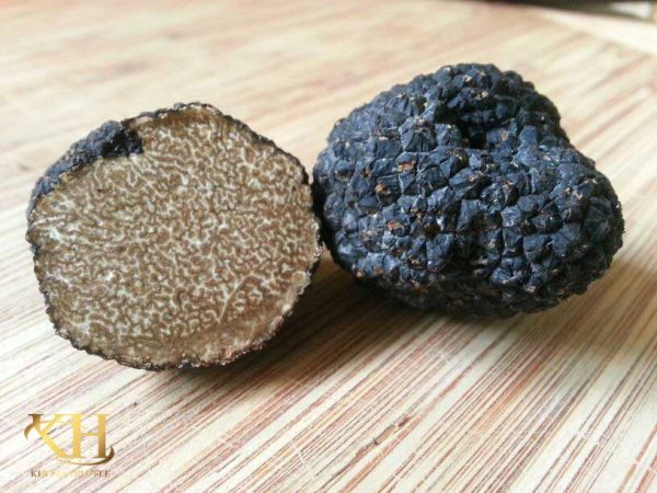 Tuber aestivum var. uncinatum ( Burgundy Truffle) 02