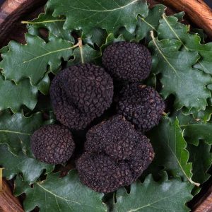 Summer Black Truffle (Tuber Aestivum) 01