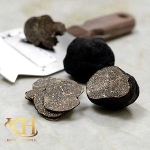 Tuber macrosporum (Smooth black Truffle) 02