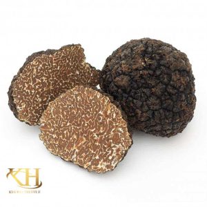 Tuber uncinatum chatin ( Fall Black Truffle) 02