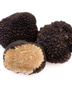 Tuber Brumale Winter Truffle