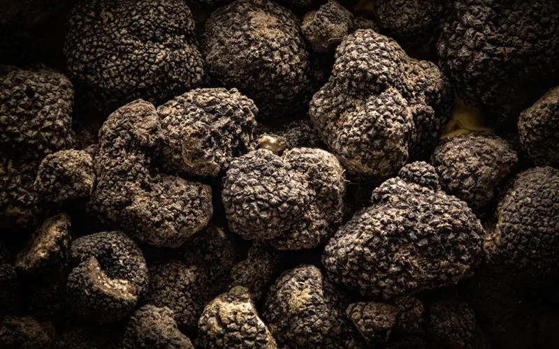 Assessing Truffle Quality