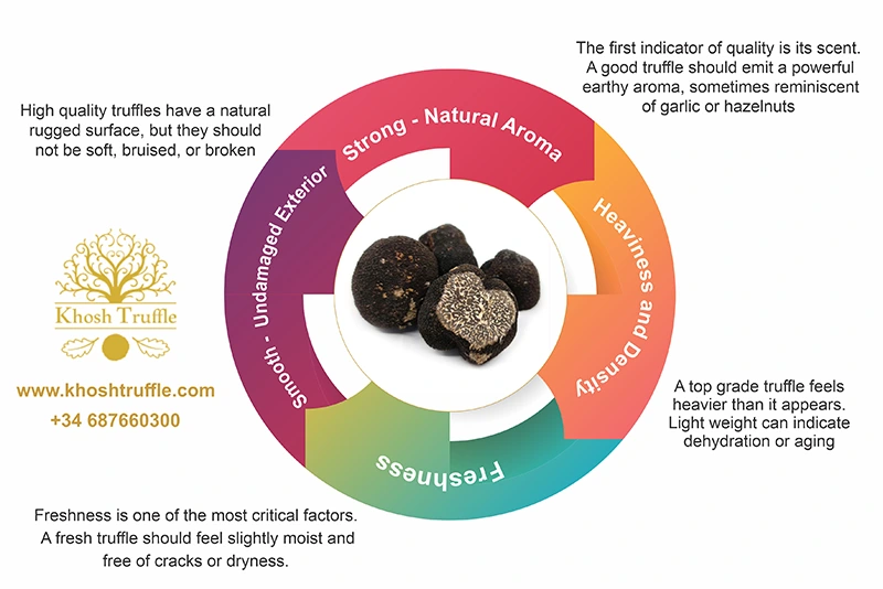Assessing black Truffle Quality