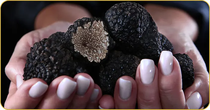 Assess Truffle Quality