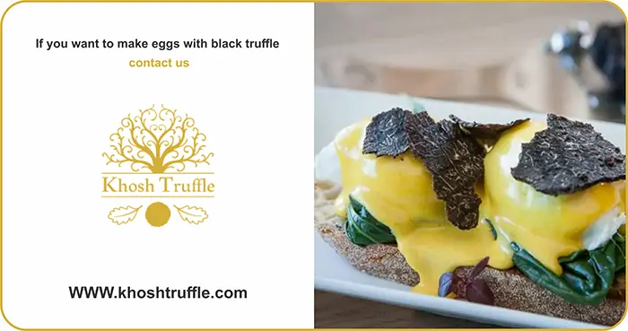 Tips Before Cooking with Black Truffles
