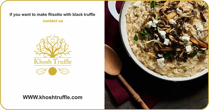 Truffle Flavored Breakfast