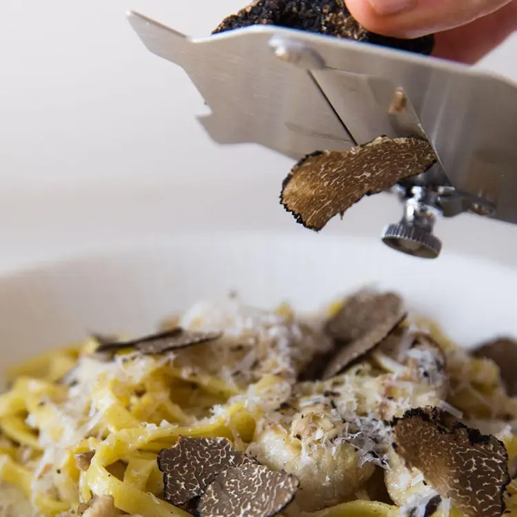 About Khosh Truffle Vision
