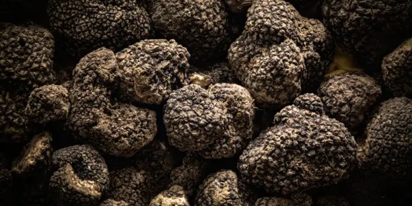 Assessing Truffle Quality