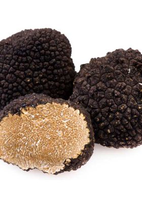 Tuber Brumale Winter Truffle